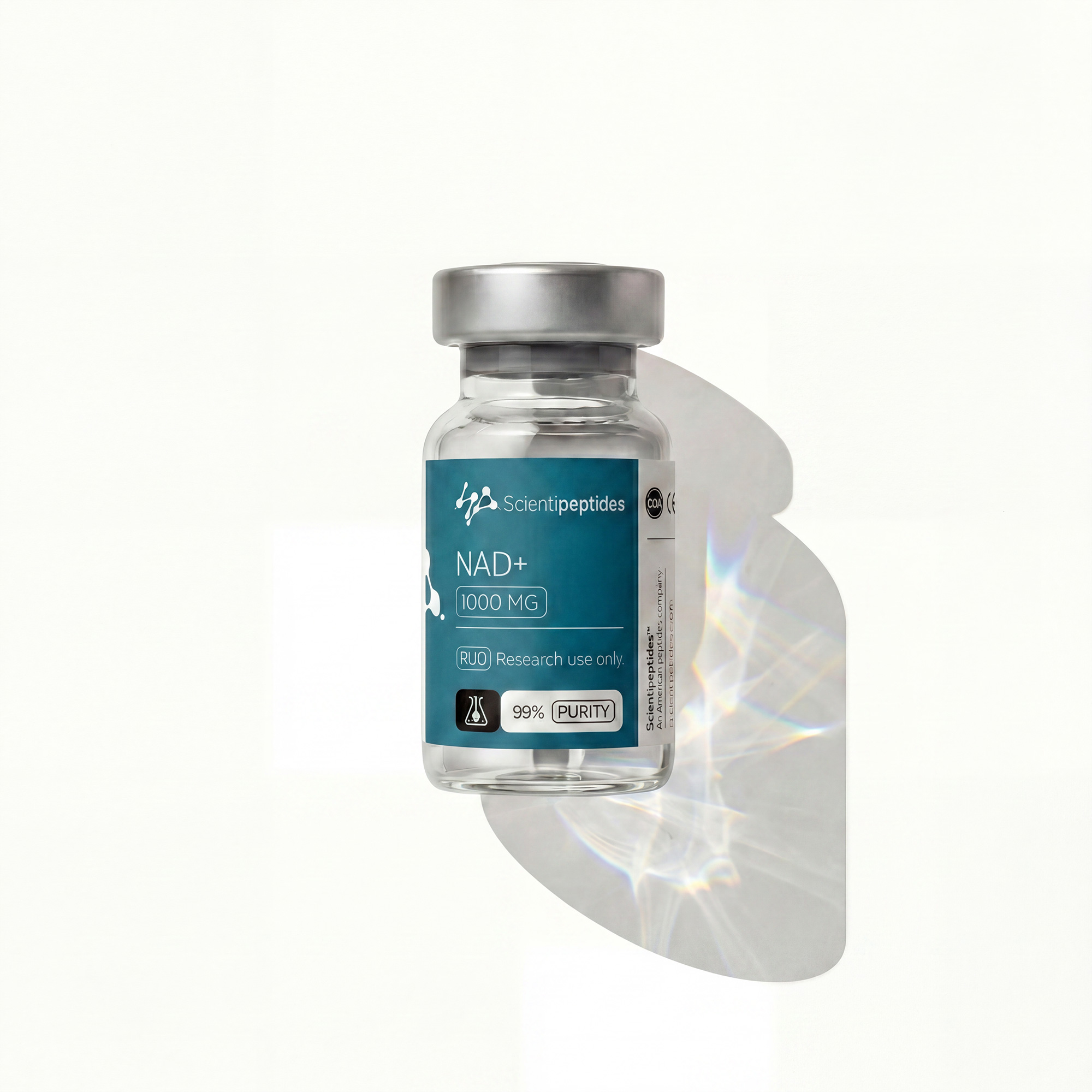 Energy & Rejuvenation