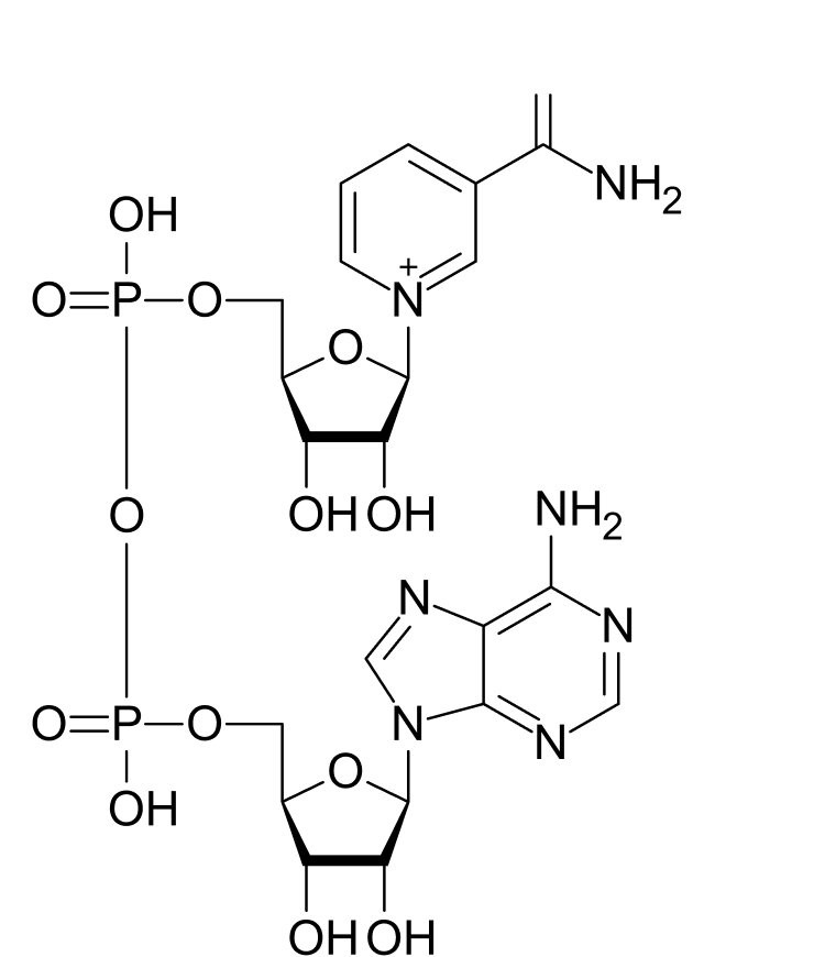 NAD+ molecular structure